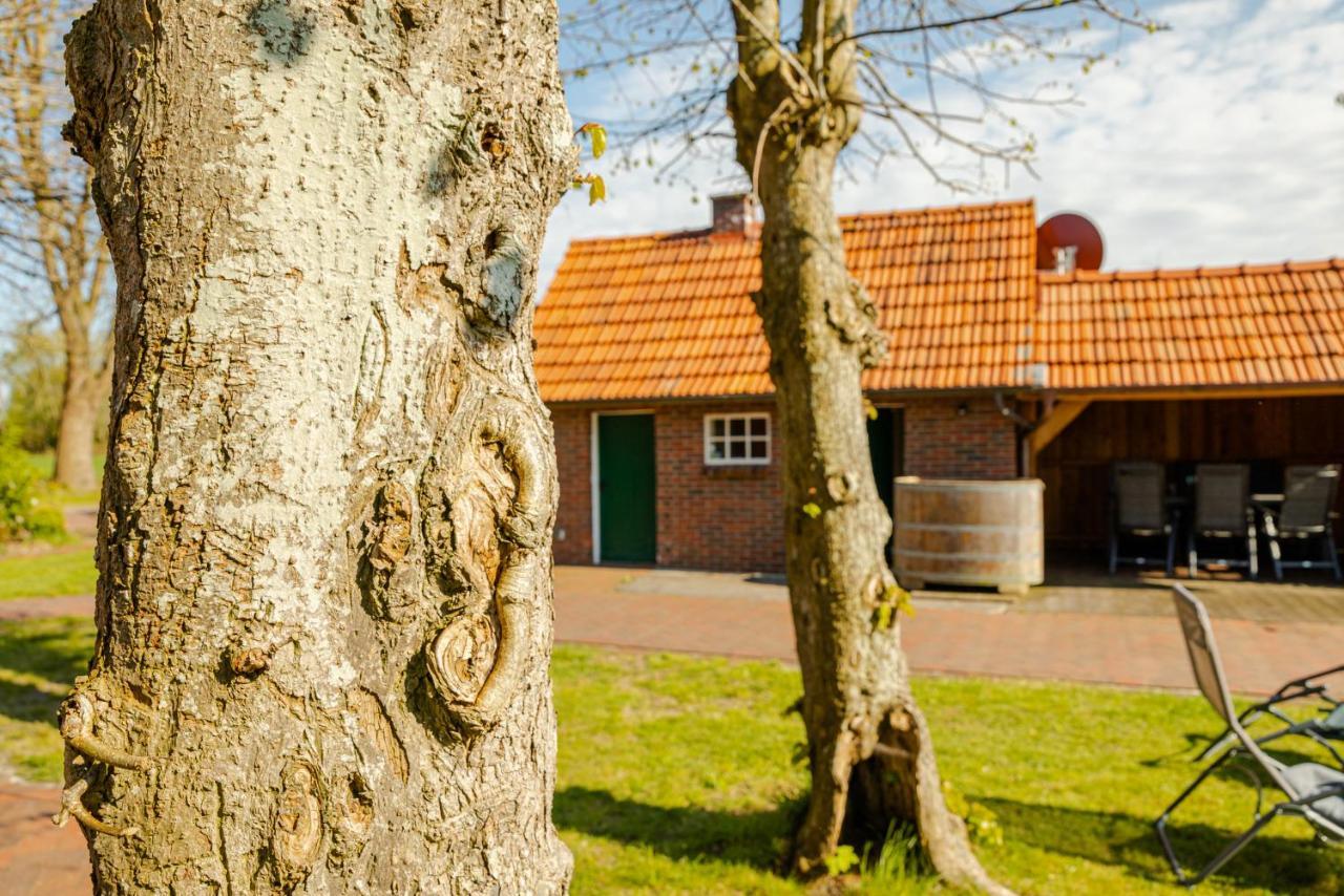 Reetdach Ostfriesenhaus Villa Südbrookmerland Екстериор снимка